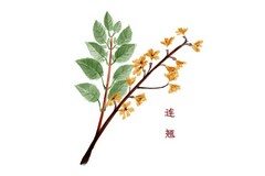团结就是胜利作文小学