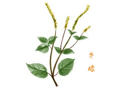 项目工程施工承包合同