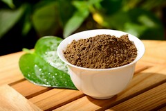 校长个人述职报告范文