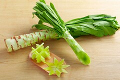 个人向个人借款合同范本