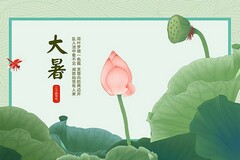 兼职调查报告